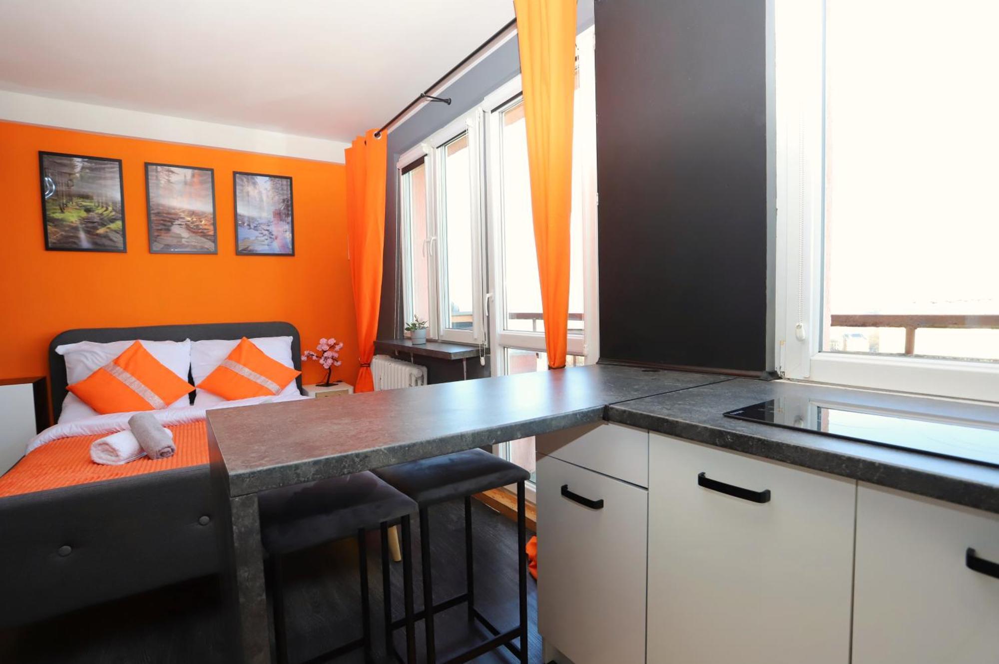 Apartment Ksiazeca Gora *